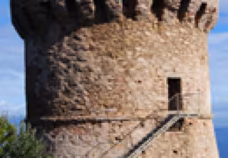 Tour génoise