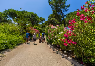 les jardins