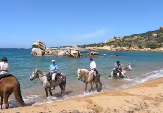 Cavaliers et leurs chevaux dans l'eau, au bord d'une plage de sable