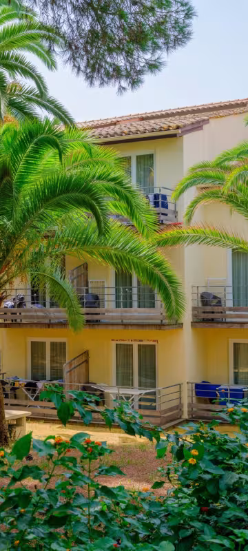 Palmiers et pins devant un bâtiment du village