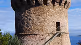 Tour génoise