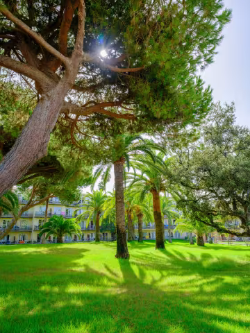 Parc de l'établissement