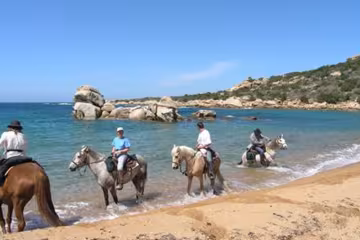Cavaliers et leurs chevaux dans l'eau, au bord d'une plage de sable