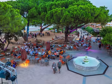 Place animée autour d'une fontaine, sous les pins